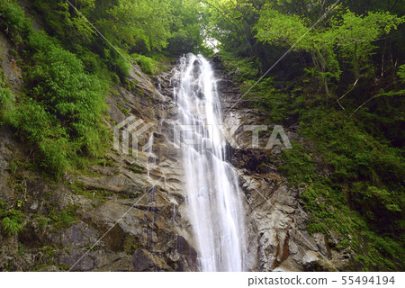 Lower shelf waterfall [Tanzawa Mountains, Kanagawa Prefecture] Nishitanzawa Nakagawagawa Nishizawa [Summer] 55494194