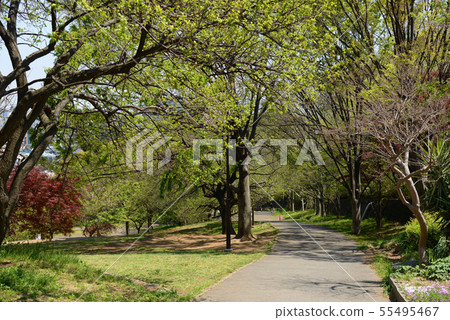 Kohoku Ward, Yokohama City Hiyoshi Park 55495467