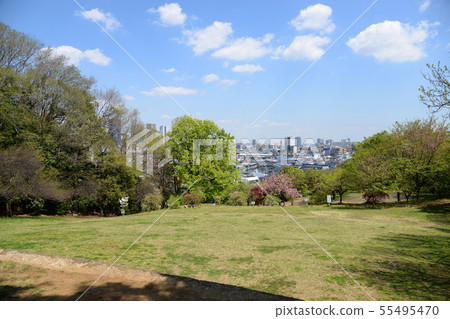 港北區，橫濱市日吉公園 55495470