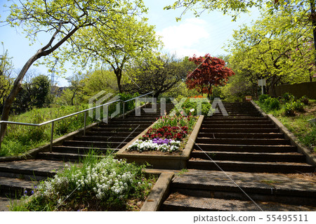 港北區，橫濱市日吉公園 55495511