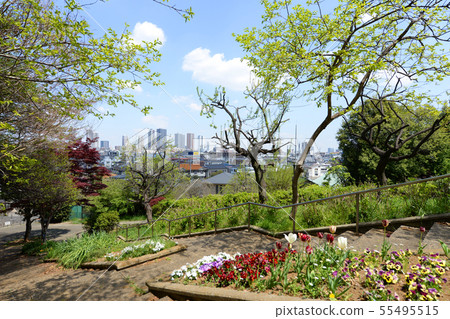 港北區,橫濱市日吉公園 港北區,橫濱市日吉公園 55495515