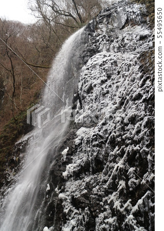 冷凍樺樹瀑布 55495650