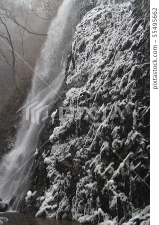 Frozen Birch Falls Frozen Birch Falls 55495662