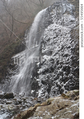 Frozen Birch Falls Frozen Birch Falls 55495664