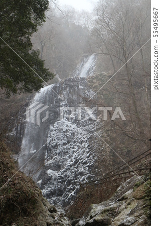 Frozen Birch Falls Frozen Birch Falls 55495667