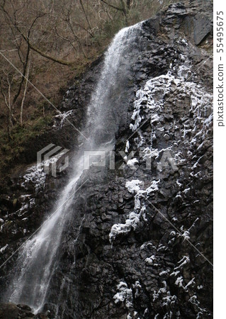 白色公豬瀑佈在冬天 55495675