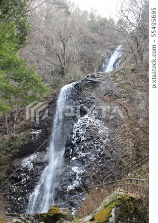 Waterfall of white boar in winter Waterfall of white boar in winter 55495695