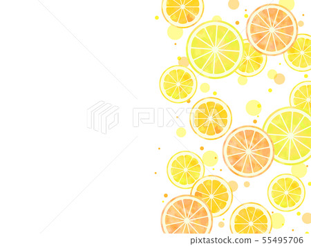 Illustration background of round cut citrus Illustration background of round cut citrus 55495706