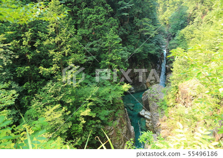 Kawaura（Kaore）谷[岐阜縣關市市Itattori] 55496186