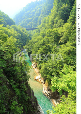 Kawaura (Kaore) Valley [Gifu Prefecture Seki-shi Itattori] 55496189