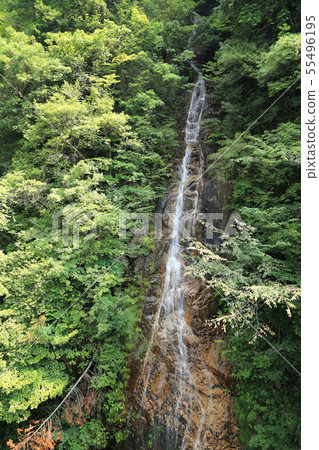 Kawaura (Kaore) Valley [Gifu Prefecture Seki-shi Itattori] 55496195