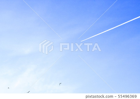 Blue sky with clouds and bird dance 55496369