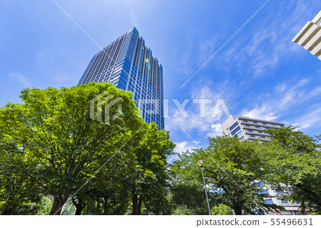 辦公樓風景與富山公園綠色的 55496631