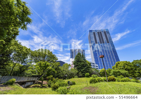 Landscape of office building with green of Toyama Park 55496664