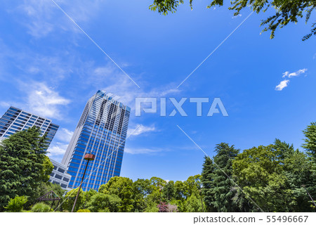 辦公樓風景與富山公園綠色的 55496667