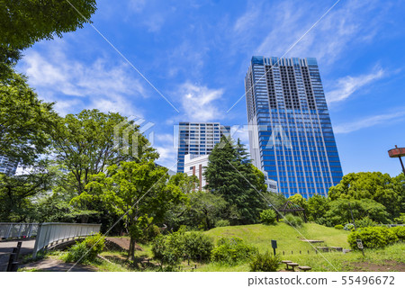 辦公樓風景與富山公園綠色的 55496672