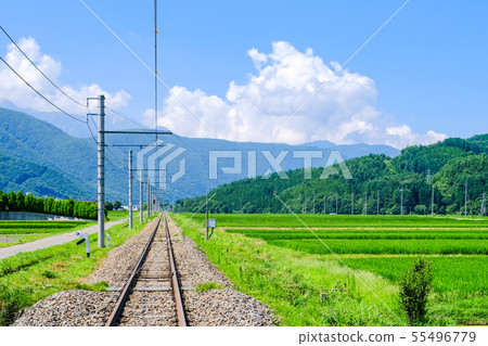 Rural landscape in summer Rural landscape in summer 55496779