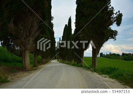 風水清新。 55497153