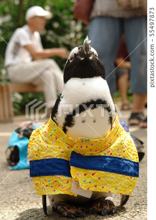 Four seasons walk summer Matsue Vogel Park 55497873