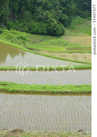 Original scenery of Japan Tanada (Oita Prefecture) 55497977