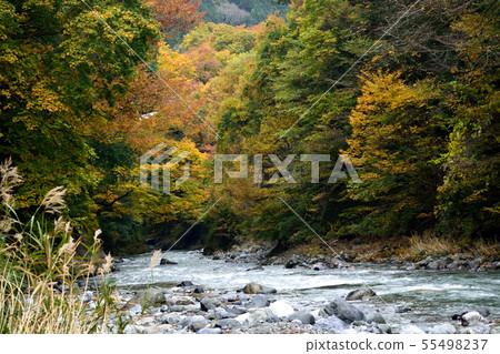 Okutama in the fall Hiharagawagawara Okutama in the fall Hiharagawagawara 55498237