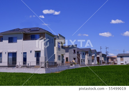 New construction 55499019