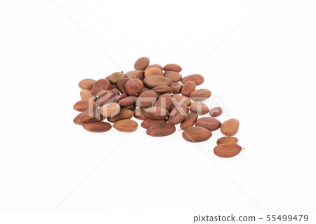 Biancaea sappan seeds on white background. 55499479