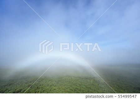 White Rainbow (Mist Rainbow / Fogbo) Over the Forest White Rainbow (Mist Rainbow / Fogbo) Over the Forest 55499547