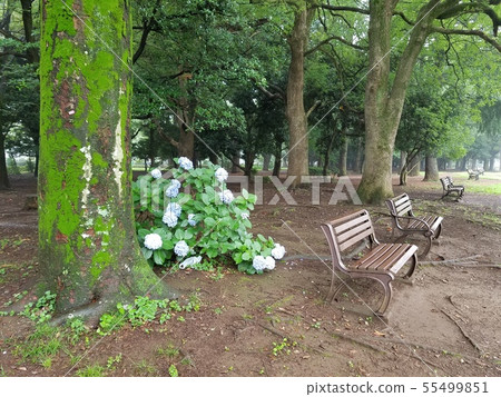 雨季公園沒人長凳 55499851