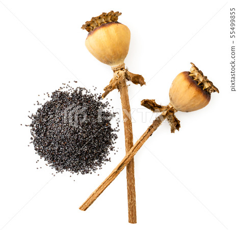 Poppy seeds with two dried pods on a white. The Poppy seeds with two dried pods on a white. The 55499855