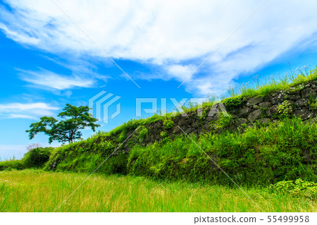 The fresh green Hinoe Castle ruins [Minamijimabara City, Nagasaki Prefecture] 55499958