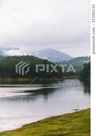 Forest and water landscape at Hala-Bala Wildlife Forest and water landscape at Hala-Bala Wildlife 55500110