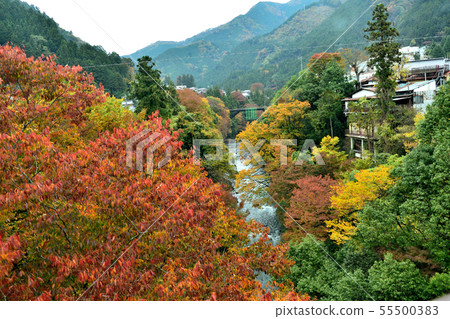 Okutama Niiwaragawa and mountain range in the fall of November 55500383