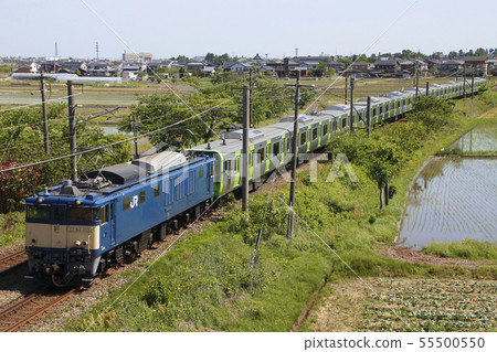 Yamanote Line heading to Tokyo (in Niigata Prefecture) 55500550