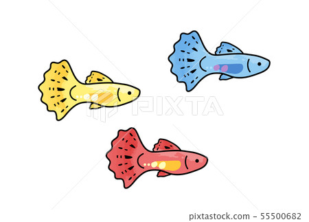 Guppy Guppy 55500682