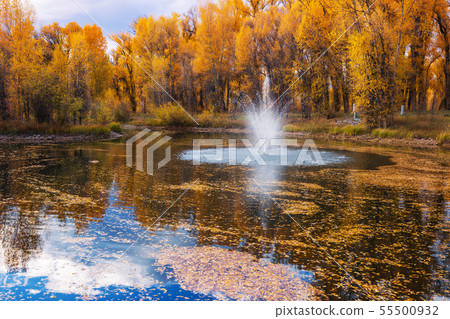 Autumn park 55500932