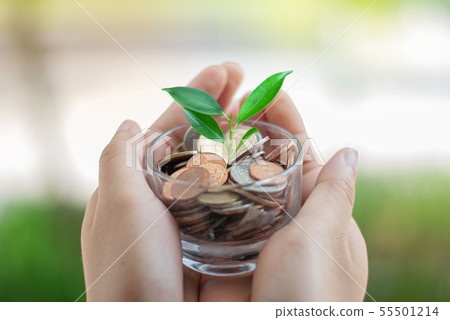 Saving money for growing business and future conce 55501214