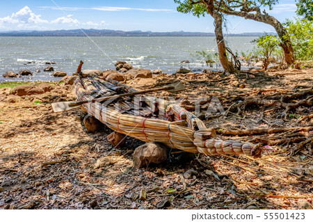 traditional fishing papyrus boats, Ethiopia 55501423