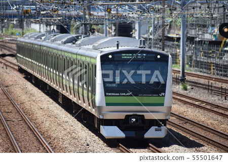 Yokohama Line E233 train 55501647