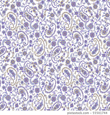 Paisley's seamless pattern, 55501744