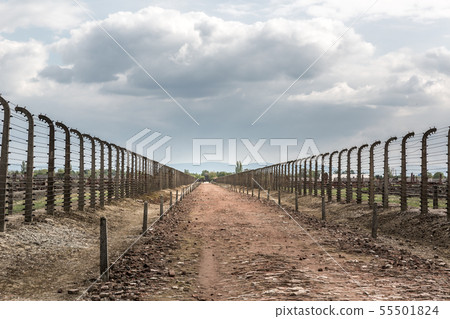 Barbed wire fence in two rows, Auschwitz II Barbed wire fence in two rows, Auschwitz II 55501824