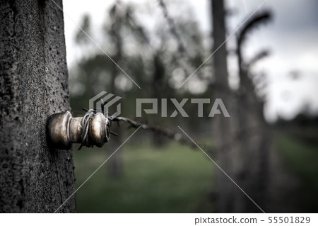 Barbed wire fence closeup view, Auschwitz II Barbed wire fence closeup view, Auschwitz II 55501829