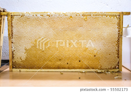 Glossy yellow golden honey comb sweet honeycomb drips flow during harvest background honeybee theme 55502173