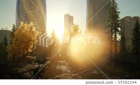 skyscrapes and the forest park at sunrise 55502244