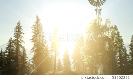 Typical Old Windmill turbine in forest at sunset 55502251