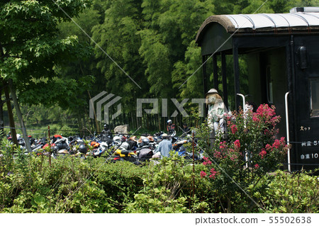 Tottori Four seasons walk summer landscape Zen festival 55502638