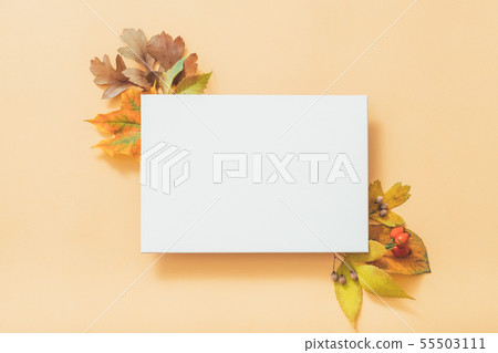 autumn greeting card white paper peach background autumn greeting card white paper peach background 55503111