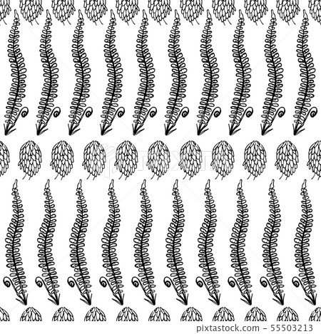 Botanical seamless pattern in vintage style. 55503213