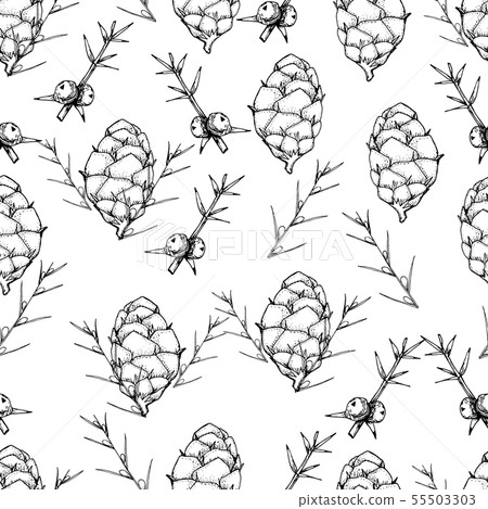 Botanical seamless pattern in vintage style. 55503303
