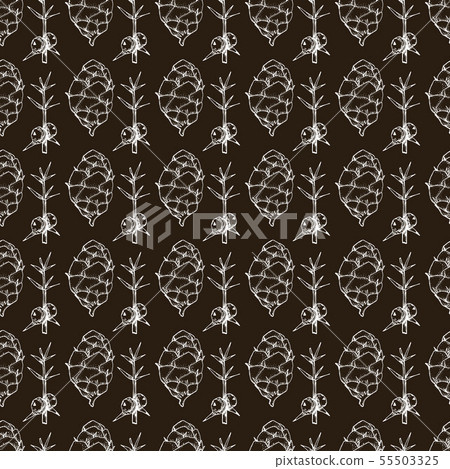 Botanical seamless pattern in vintage style. Botanical seamless pattern in vintage style. 55503325
